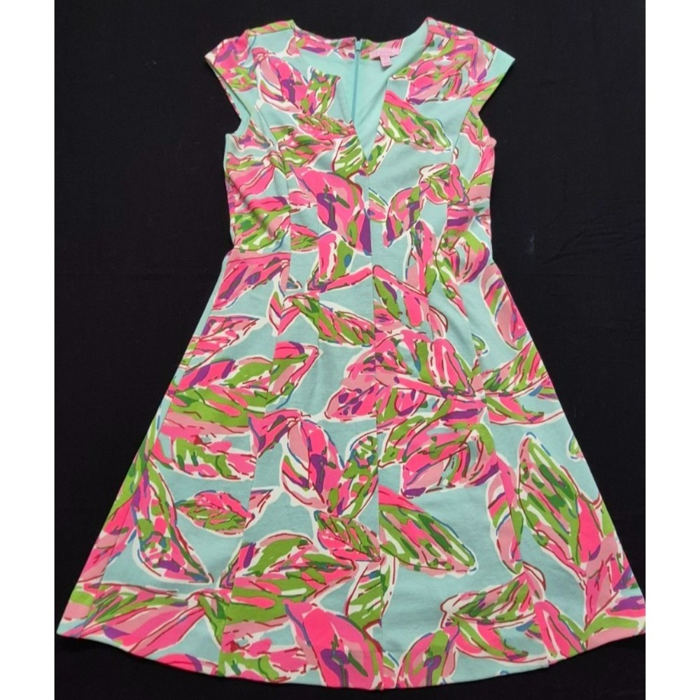 Lilly Pulitzer Briella Pink In The Vias Fit & Flare V-Neck Lined Dress Sz S